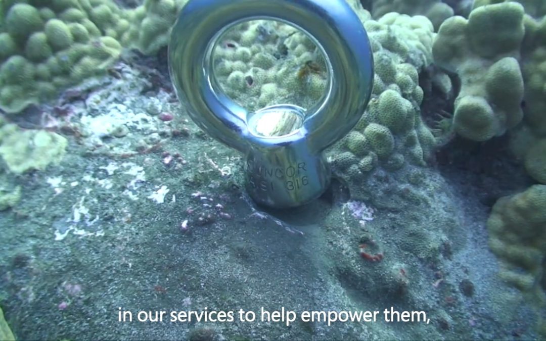 Customer story: Jack’s Diving Locker