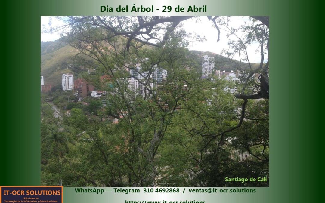 Dia del Árbol – Optimización de los recursos.